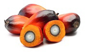 Palmfruit-small