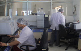 Lab-woeking