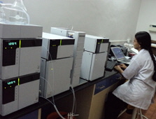 Vidya Herbs Lab2 -M